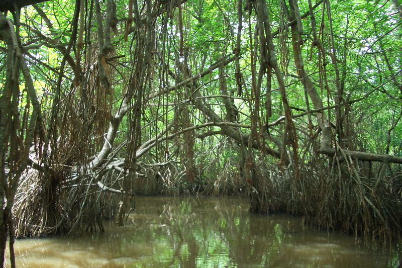 Sri Lanka, Bentota